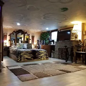 Guest house Exotic Large Basement Studio, Montreal
